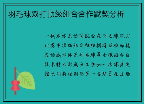 羽毛球双打顶级组合合作默契分析